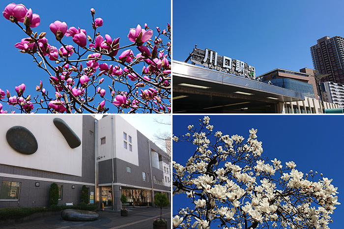 川口駅近くの西公民館